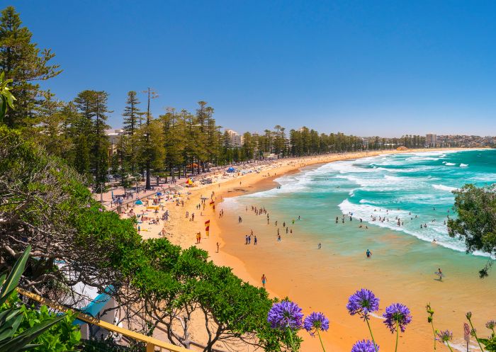 Manly Beach, Manly Crowds enjoying a summer's day at Manly Beach, Manly