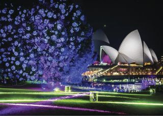 Vivid Sydney 2016