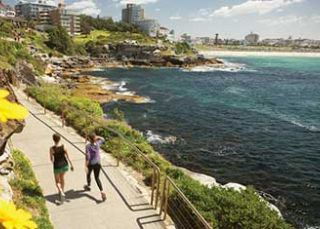 Manly Lagoon To North Head Walk Coastal Walks Walking Tracks