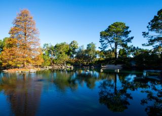 Auburn Botanic Gardens in Auburn, Sydney West