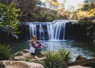 Nellies Glen, Budderoo National Park