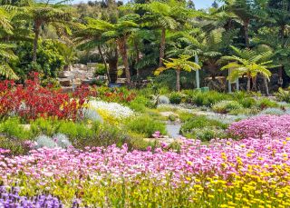 Connections Garden - premier display, The Australian Botanic Garden, Mount Annan