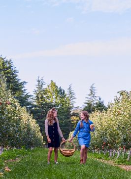 Young girls enjoying a day of apple picking at Shields Orchard, Bilpin