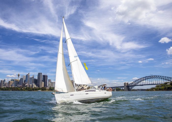 People enjoying a chartered sailing tour on Sydney Harbour