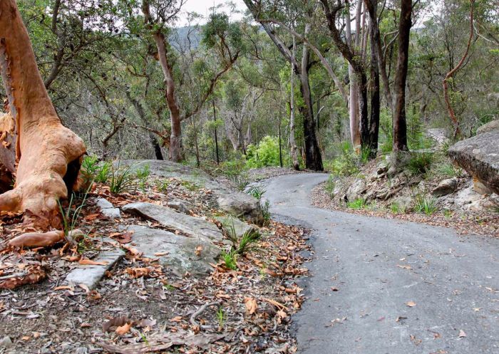 Stepping Stone Crossing to Cascades Trail. Image Credit: Shaun Sursok