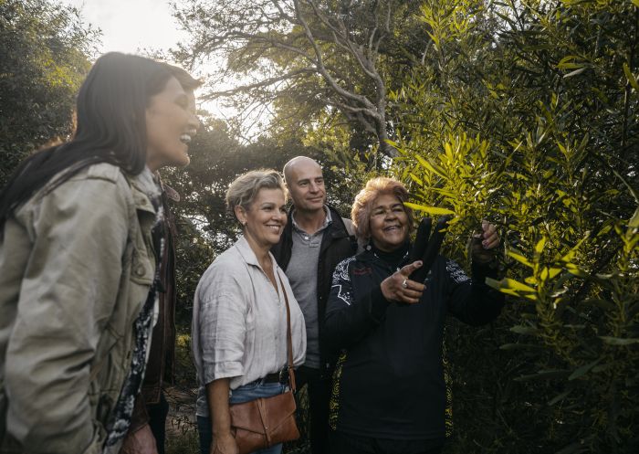 Group enjoying a Dreamtime Southern X tour with Margret Campbell at Balls Head, Waverton in Sydney