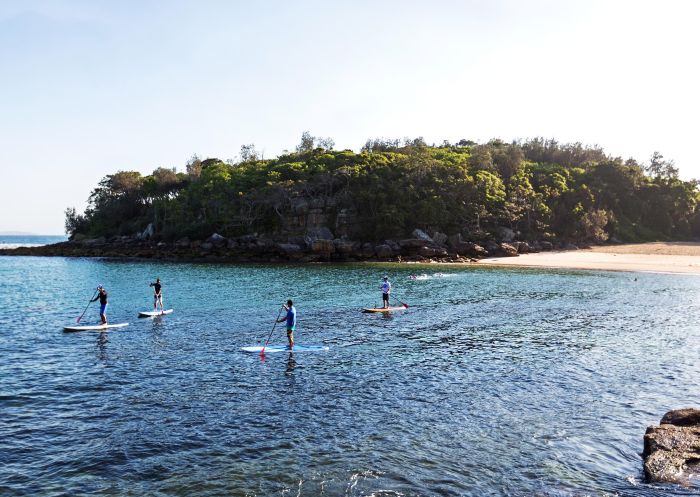 Stand-up paddleboarding, Shelly Beach