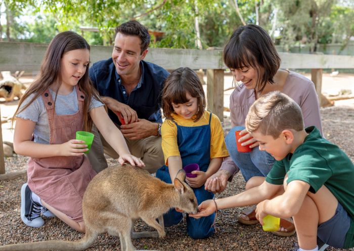 Family feeding a wallaby at Featherdale Wildlife Park, Doonside in Sydney's west