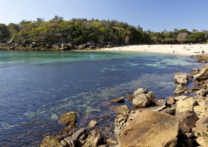 Snorkeling the calm waters of Shelly Beach, Manly