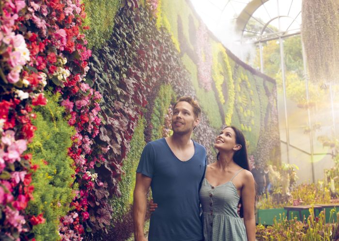 Couple enjoying a walk through The Calyx in The Royal Botanic Garden Sydney