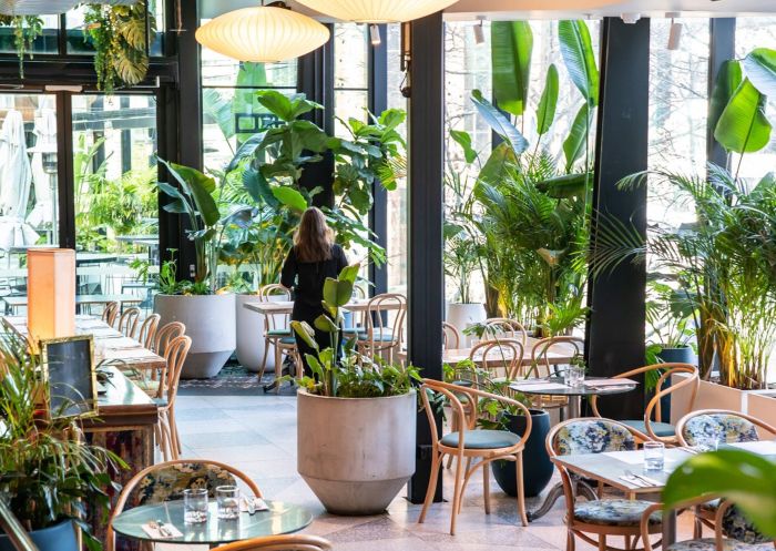 View of rooftop garden bar at Green Moustache, North Sydney