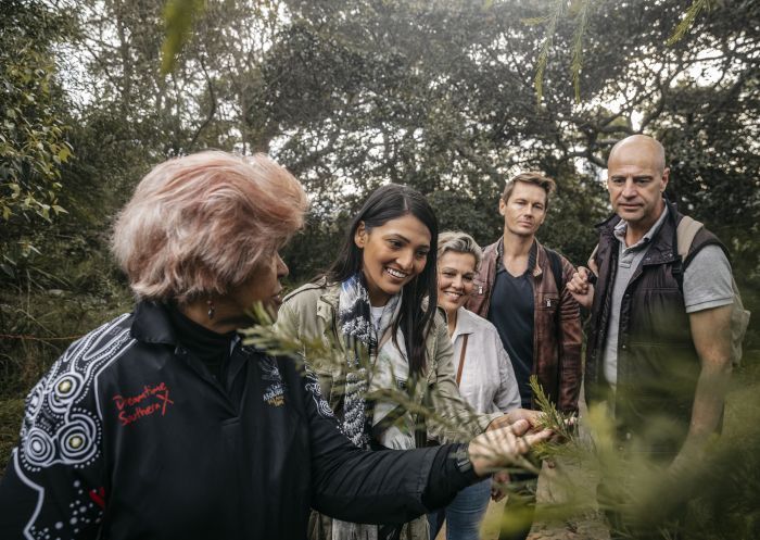 Group enjoying a Dreamtime Southern X Tour with Margret Campbell at Balls Head, Waverton in Sydney North