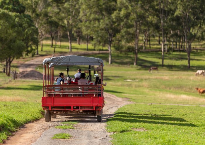 Tractor ride at Calmsley Hill City Farm, Abbottsbury