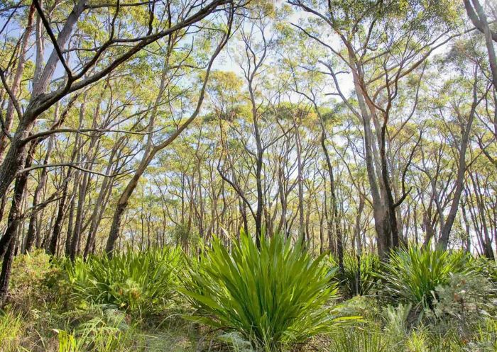 10B Cycling Trail in Dharawal National Park, Appin