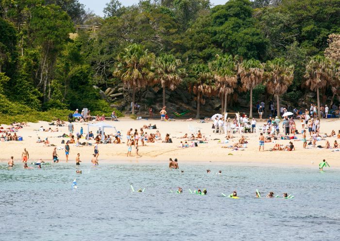 Crowds enjoying a day out at Shelly Beach, Manly