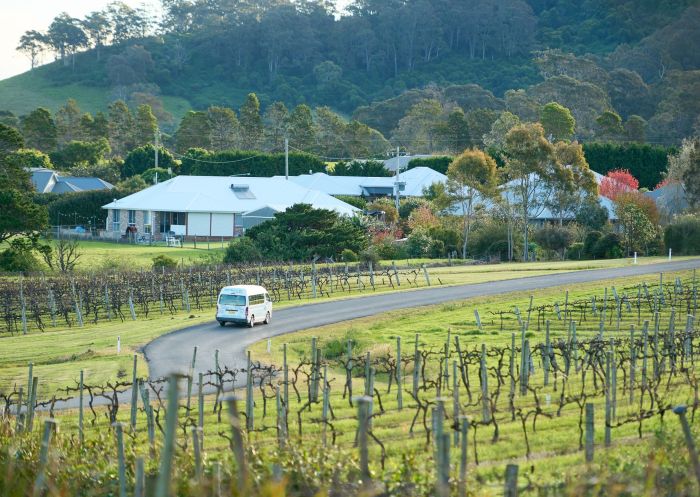 Bus driving through the vineyard at Shire Shuttle Bus and Tours, Shoalhaven