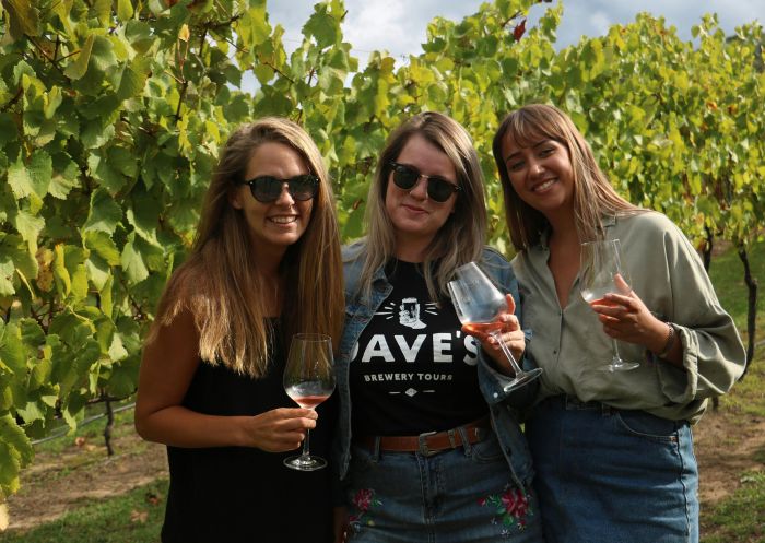 Group of friends enjoying wine, cheese and chocolate tour with Dave's Tours, Hunter Region