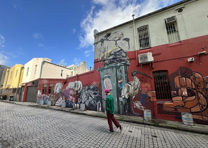 Bin chickens street art by artist Scottie Marsh in Chippendale - Credit: Eloise Basuki