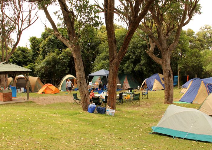 Tents at the campground at Putty Beach Campground, Killcare Heights