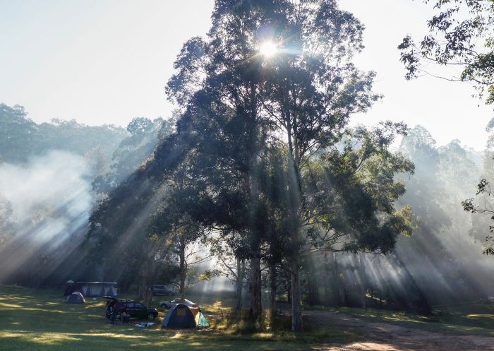 Euroka Campground, Blue Mountains National Park