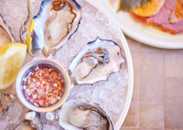 Enjoy at plate of oysters with Splendour Tailored Tours, Sydney