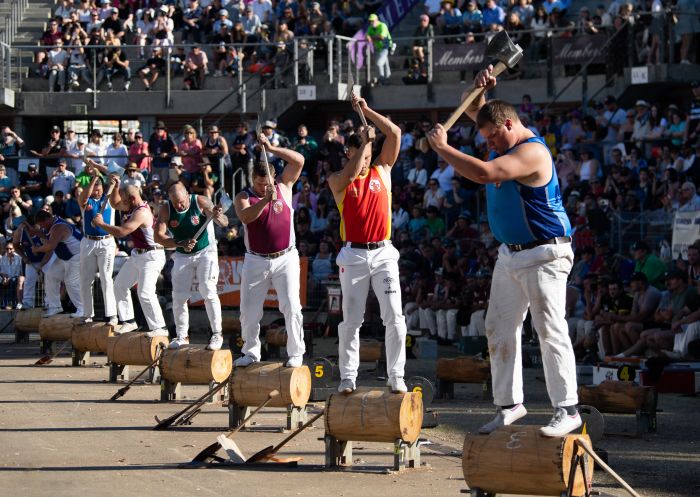  Men competing in wood chopping, Sydney Royal Easter Show, Sydney - Credit: Sydney Royal Easter Show