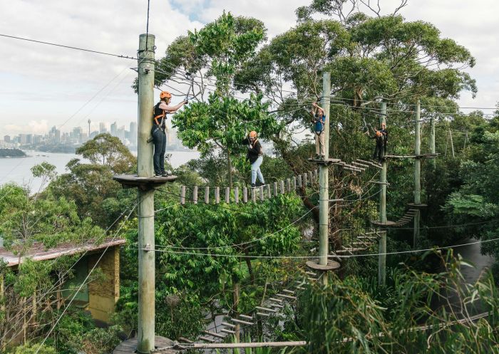 Taronga Zoo Sydney, Mosman - Credit: Pat Suraseang  Wild Ropes at Taronga Zoo Sydney, Mosman, Lower North Shore - Credit: Pat Suraseang