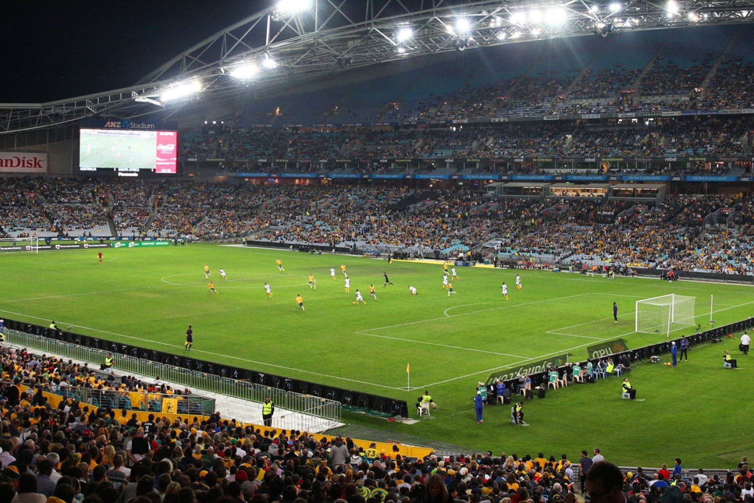 Sydney Sports Events NRL, Cricket, Rugby, Soccer & More