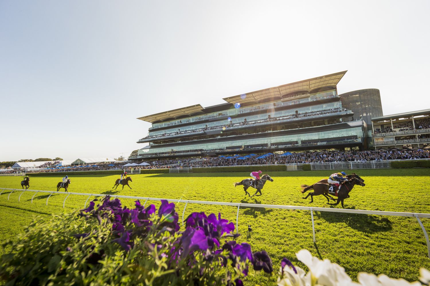 Spring Racing Carnival Horse Racing In Sydney