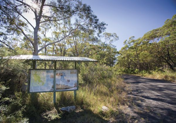 10B Management Trail or mountain bike cycling trail runs through the bushland of Dharawal National Park