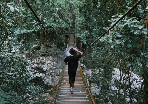 Minnamurra Rainforest Centre, Budderoo National Park - South Coast