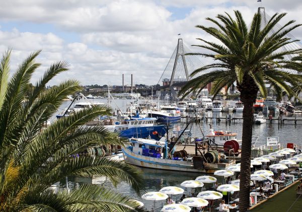 Sydney Fish Market - Credit: James Horan