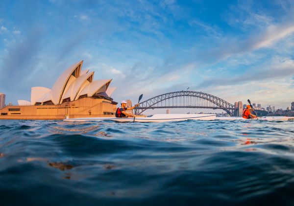 Men kayaking on Sydney Harbour in summer, Sydney