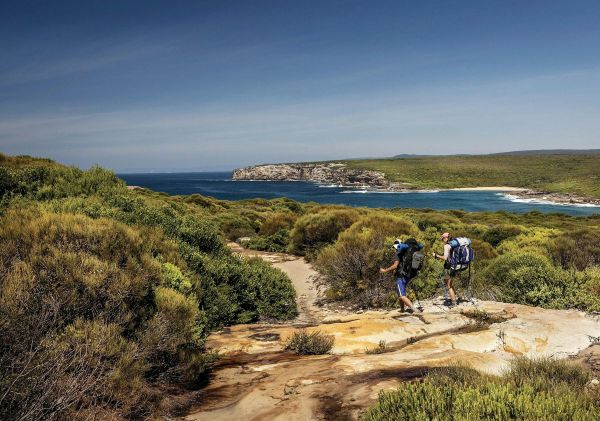 The Coast track, Royal National Park, Bundeena - Credit: David Finnegan | DPIE