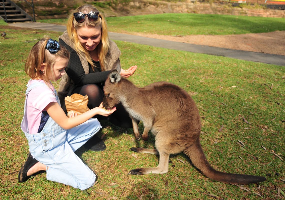 tytär ja hänen äitinsä ruokkivat kengurua Australian Reptile Parkissa