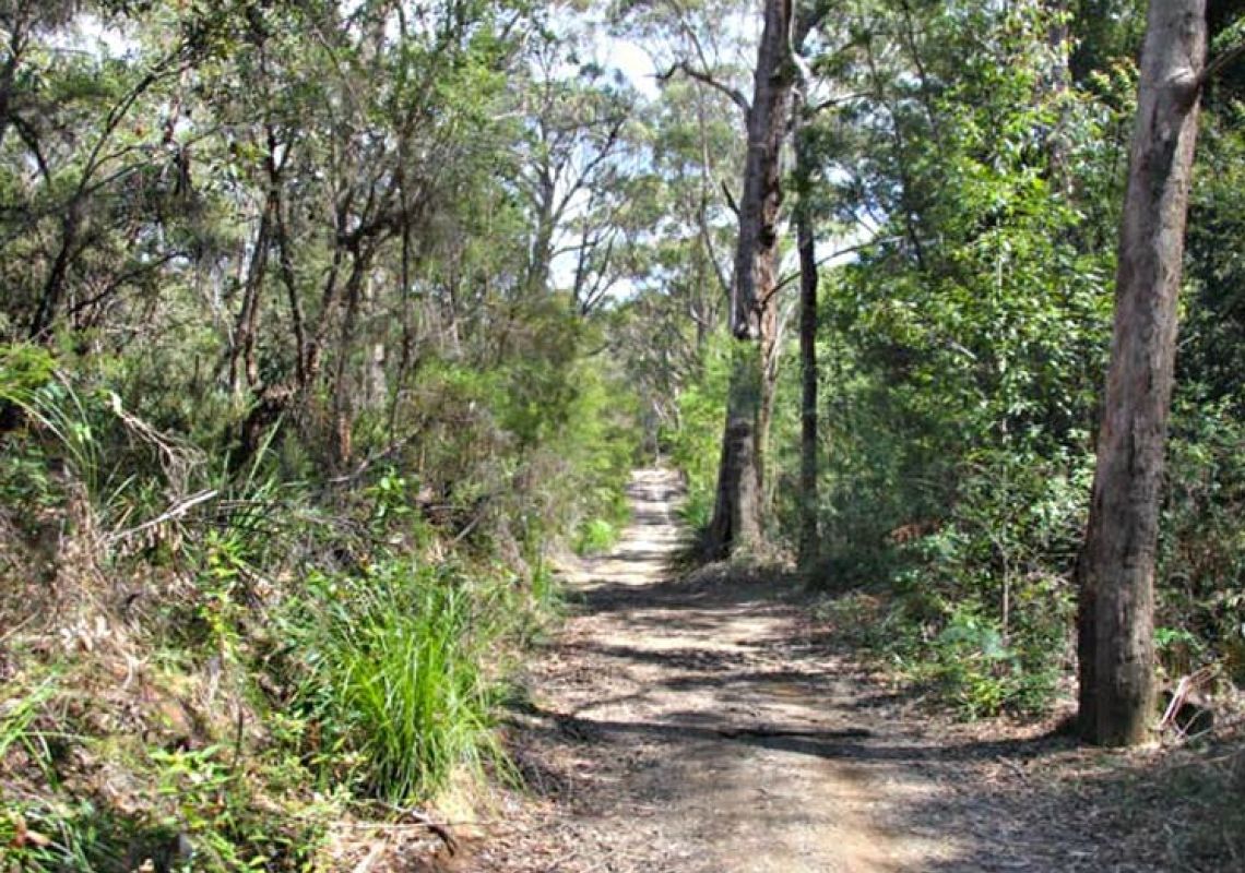 7 of the Best Mountain Biking Trails in Sydney | Sydney.com