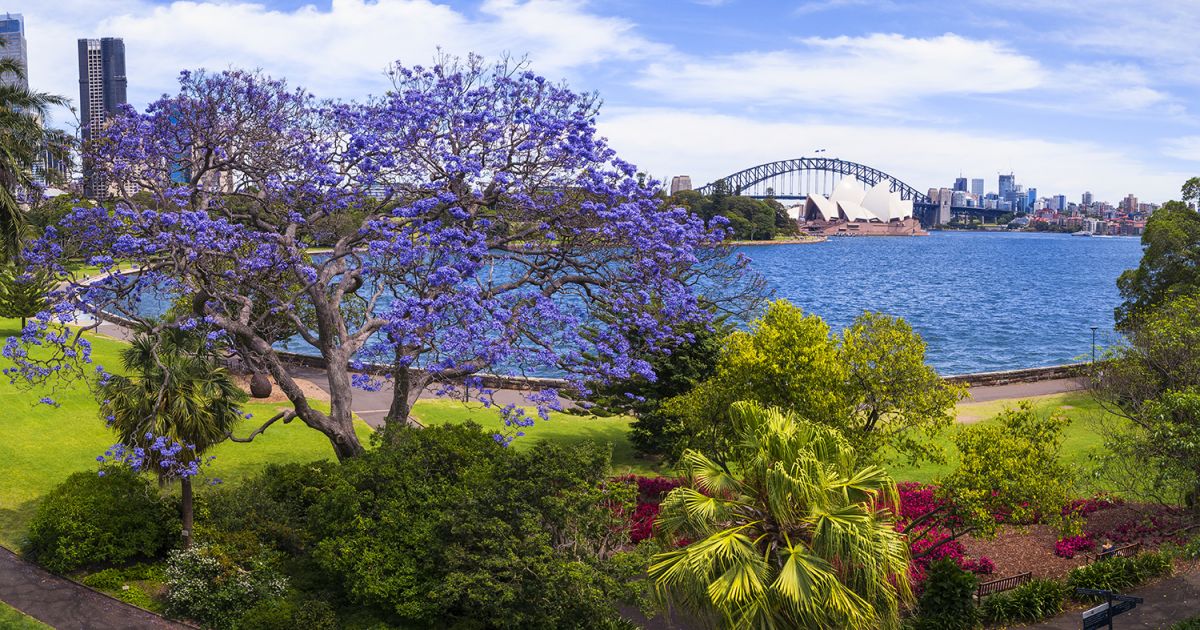 Best Parks Gardens In Sydney Picnic Walks More