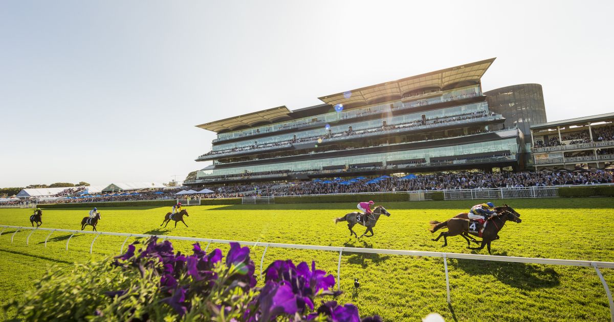 Spring Racing Carnival Horse Racing in Sydney