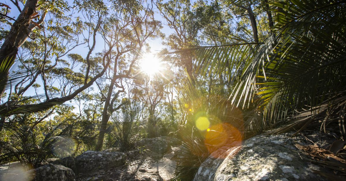 The Best Hikes In & Around Sydney | Sydney.com