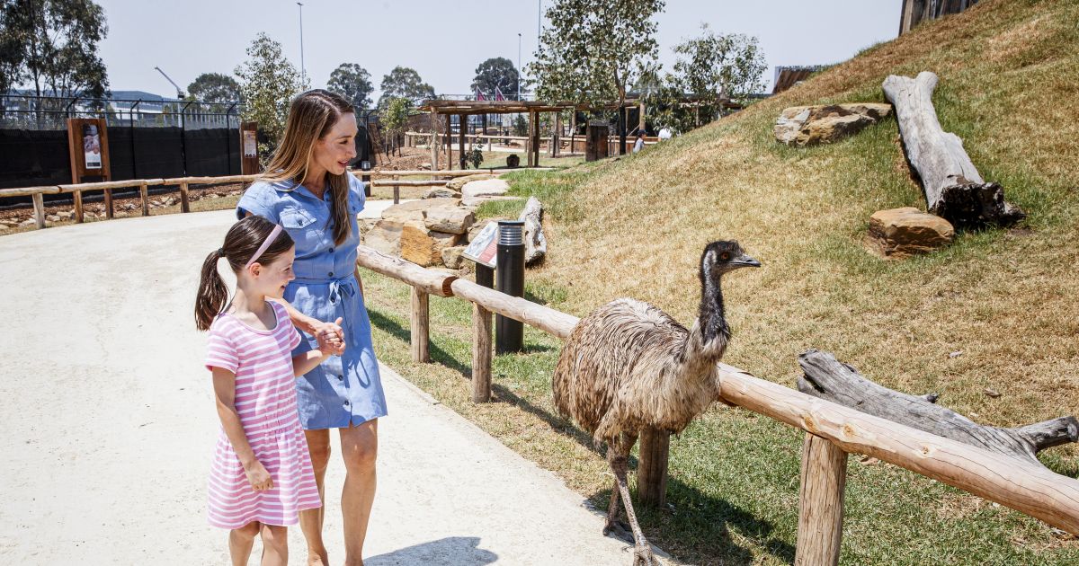 zoos-wildlife-in-sydney-official-sydney-tourism-website