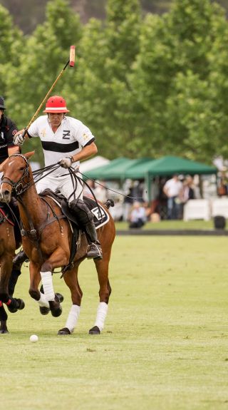 Polo in the Hawkesbury