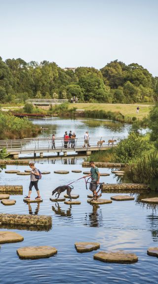 Sydney Park, St Peters