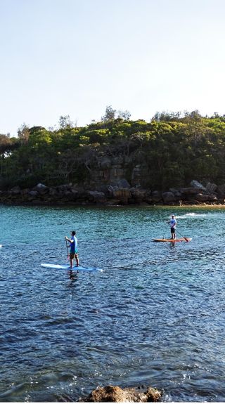 Stand up paddleboarding at Shelly Beach in Manly, Sydney North