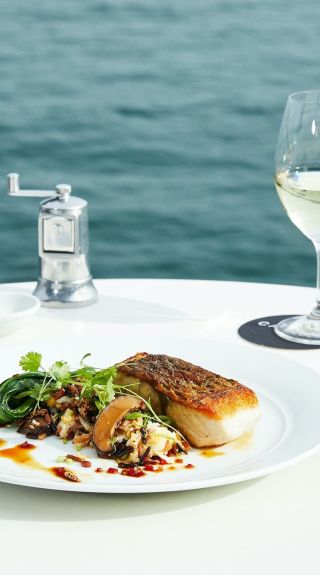 Catalina barramundi at Catalina Rose Bay, Sydney East