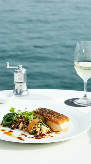 Catalina barramundi at Catalina Rose Bay, Sydney East