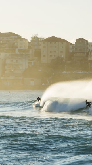 Surfing at Bondi Beach, Sydney East