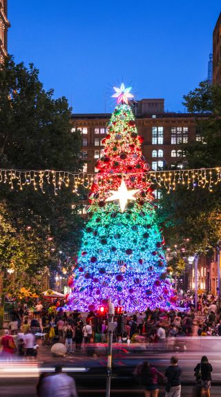 Christmas Tree & Lights in Martin Place