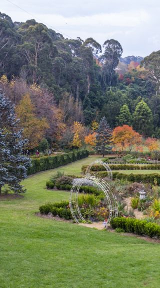 Autumn colours on display at Wildwood Garden, Bilpin