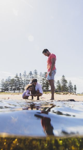 Mona Vale Rockpool, Northern Beaches