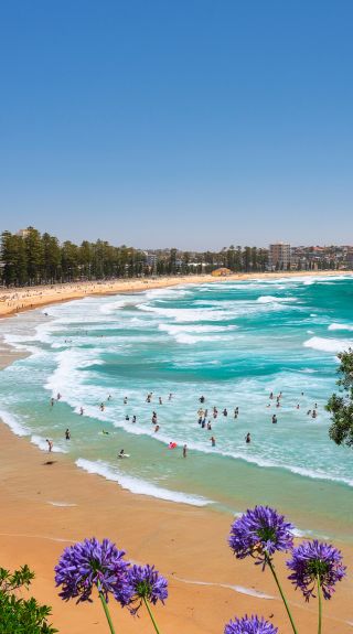 Manly Beach, Manly